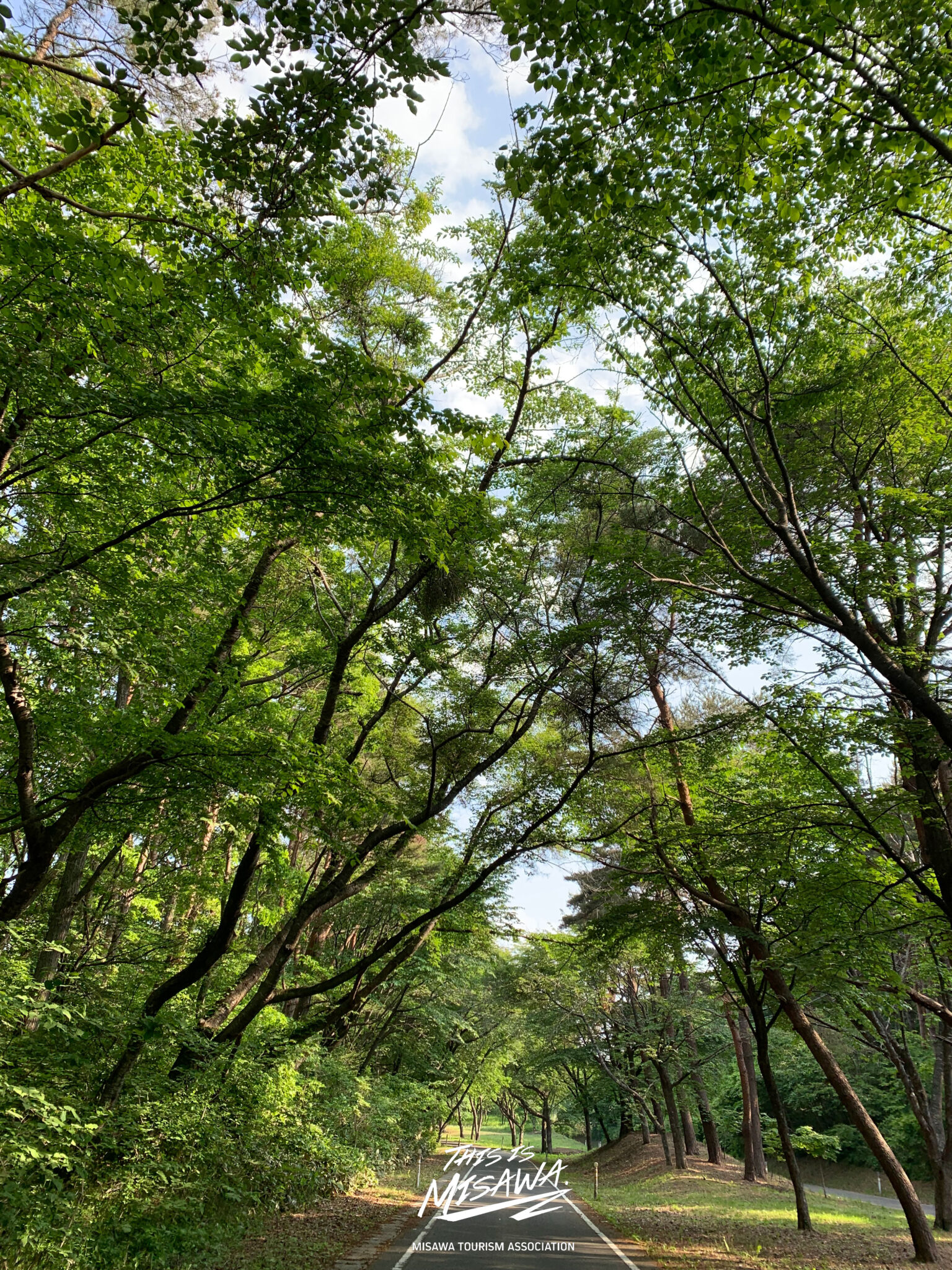 THIS IS MISAWA part7【緑の回廊】 【三沢市観光協会】 青森県三沢市観光ガイド 来て！みさわ